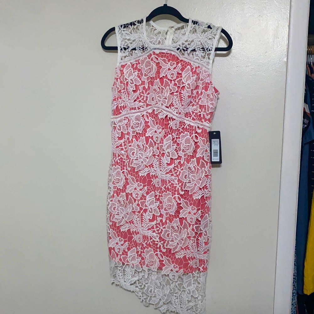 Bebe Dress with full back zipper